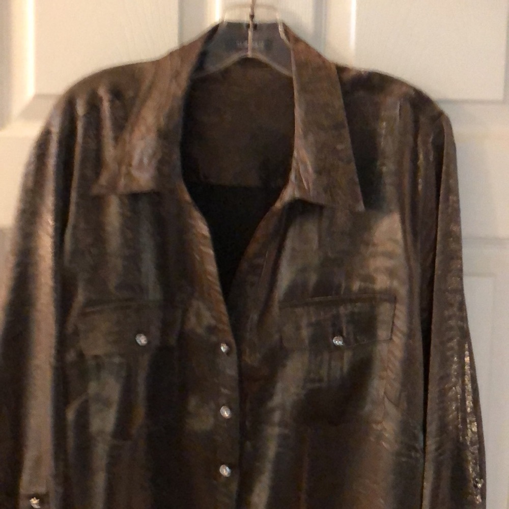 Elementz Woman  Sparkly Shimmering Shirt. Even rhinestone buttons sparkle